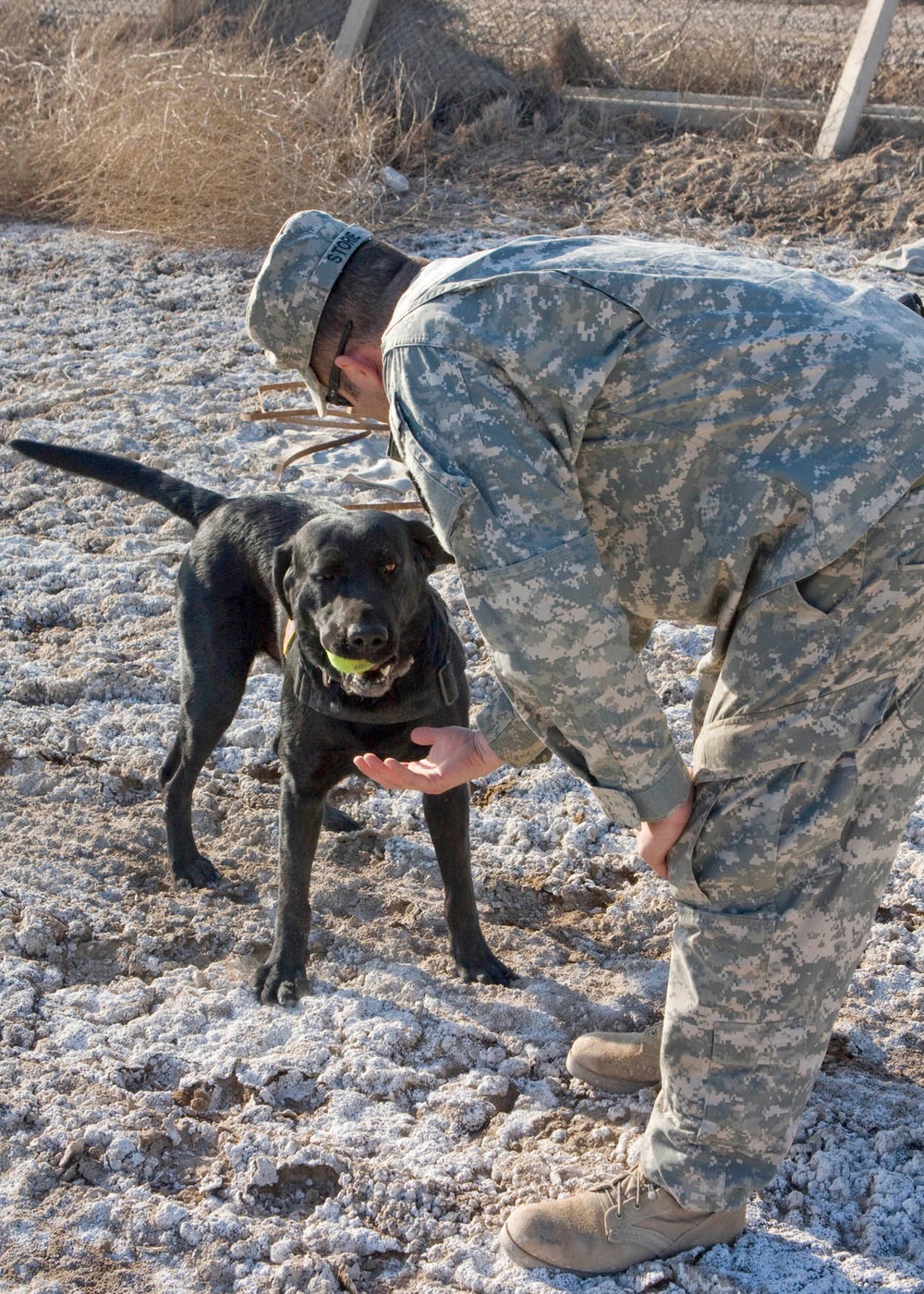 Soldier, best friend sniff out danger, save lives