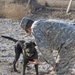 Soldier, best friend sniff out danger, save lives