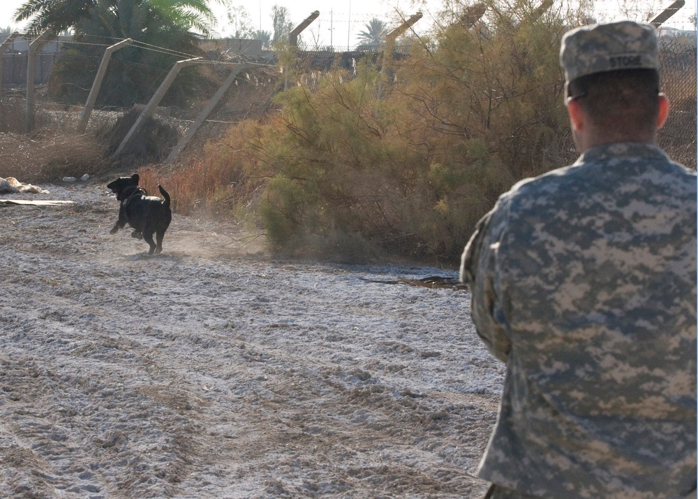 Soldier, best friend sniff out danger, save lives