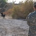 Soldier, best friend sniff out danger, save lives