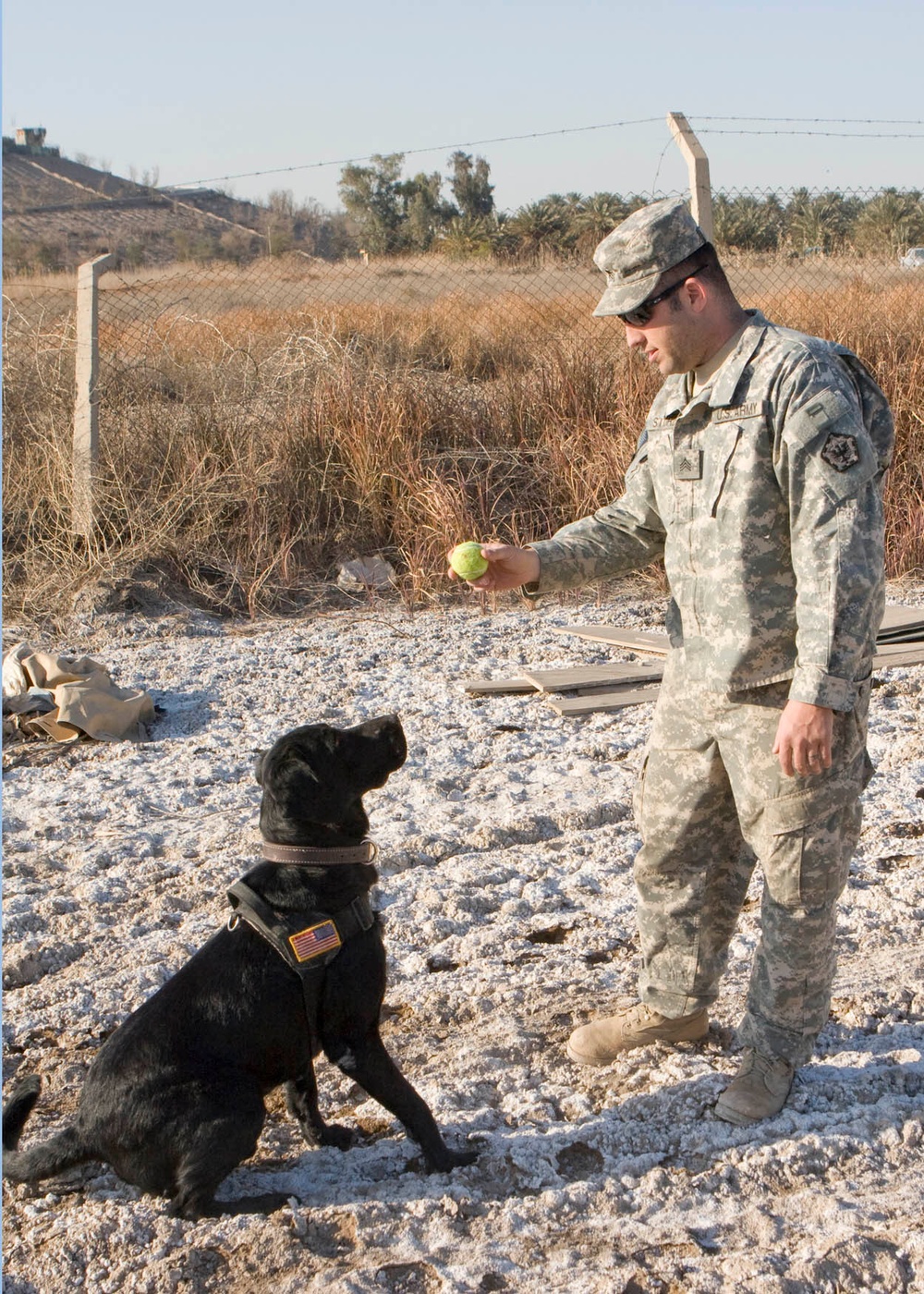 Soldier, best friend sniff out danger, save lives