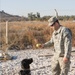 Soldier, best friend sniff out danger, save lives