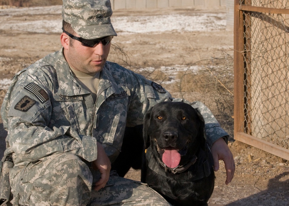 Soldier, best friend sniff out danger, save lives