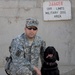 Soldier, best friend sniff out danger, save lives