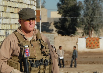 Primary school project