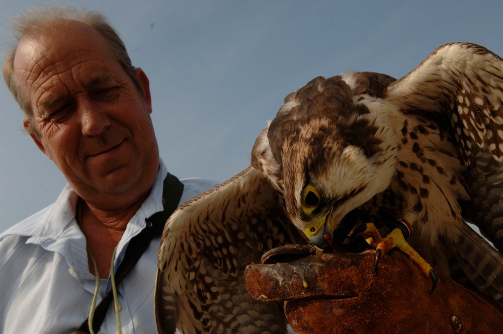 Air Force Works Aggressively to Reduce Bird Strikes