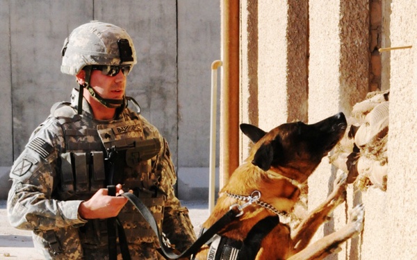 From man's best friend to service member?s best friend - K9s help accomplish mission in Iraq