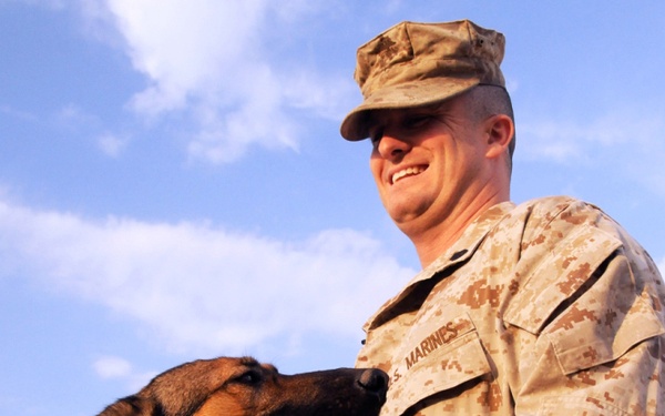 From man's best friend to service member's best friend - K9s help accomplish mission in Iraq