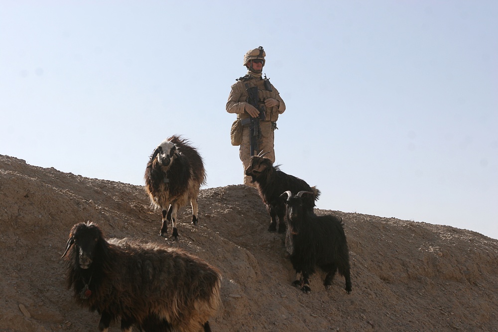 Marines of 3/8 clear southern Afghanistan's deadly Route 515