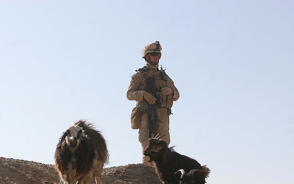 Marines of 3/8 clear southern Afghanistan's deadly Route 515