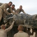 Marines of 3/8 clear southern Afghanistan's deadly Route 515