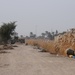 Recently Graduated Electrical Engineers in Abu Ghraib, Iraq