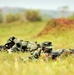 Uganda Peoples Defense Force Soldiers Demonstrate Skills Learned During the UPDF Non-Commissioned Officers Academy (NCOA) in Jinja.