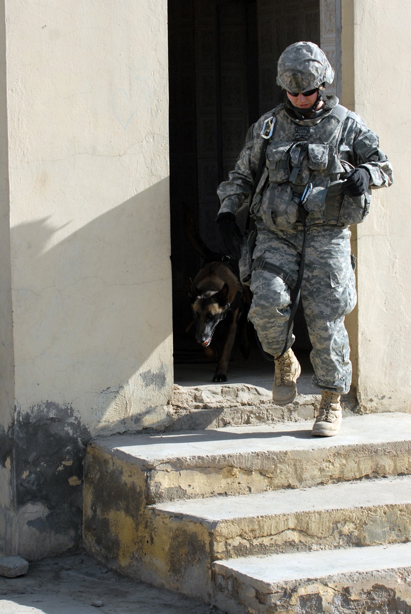 Soldiers reinforce election site security