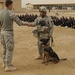 Military working dog demo at Diwaniyah police academy