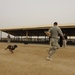 Military working dog demo at Diwaniyah police academy