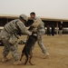 Military working dog demo at Diwaniyah police academy