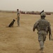 Military working dog demo at Diwaniyah police academy