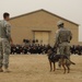 Military working dog demo at Diwaniyah police academy