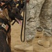 Military working dog demo at Diwaniyah police academy