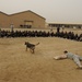Military working dog demo at Diwaniyah police academy