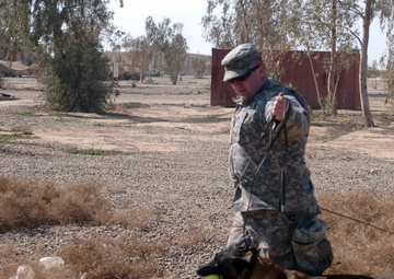 Army Training: For the Dogs