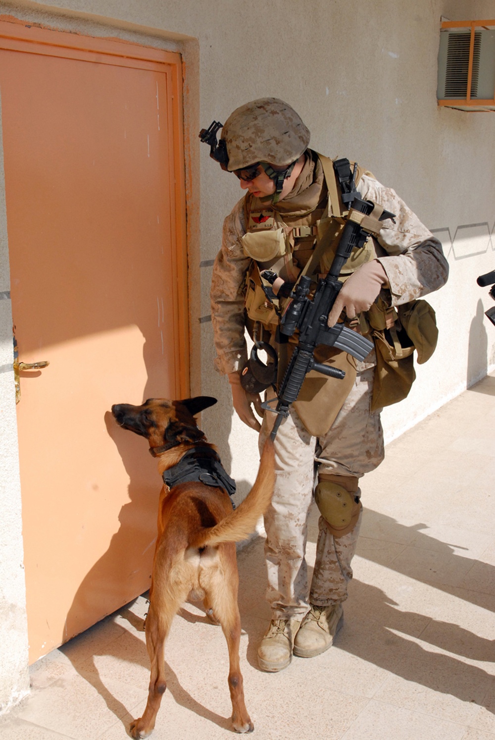 Man's best friend helps secure Bayji's voting sites