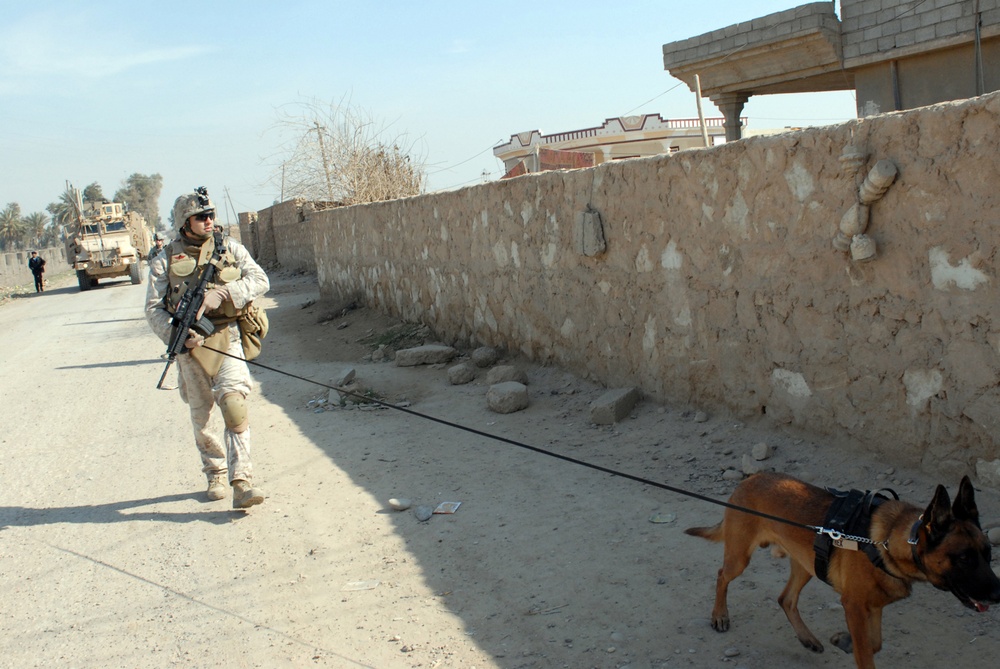 Man's best friend helps secure Bayji's voting sites