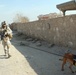 Man's best friend helps secure Bayji's voting sites