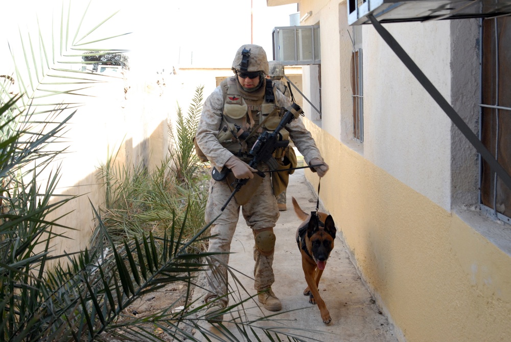 Man's best friend helps secure Bayji's voting sites