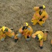 Fast Rope Exercise at Fort Pickett