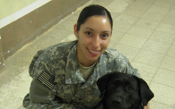 The other working dogs of Iraq