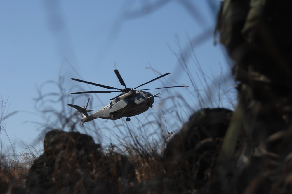 Multi-national Forces Train on Fort Pickett