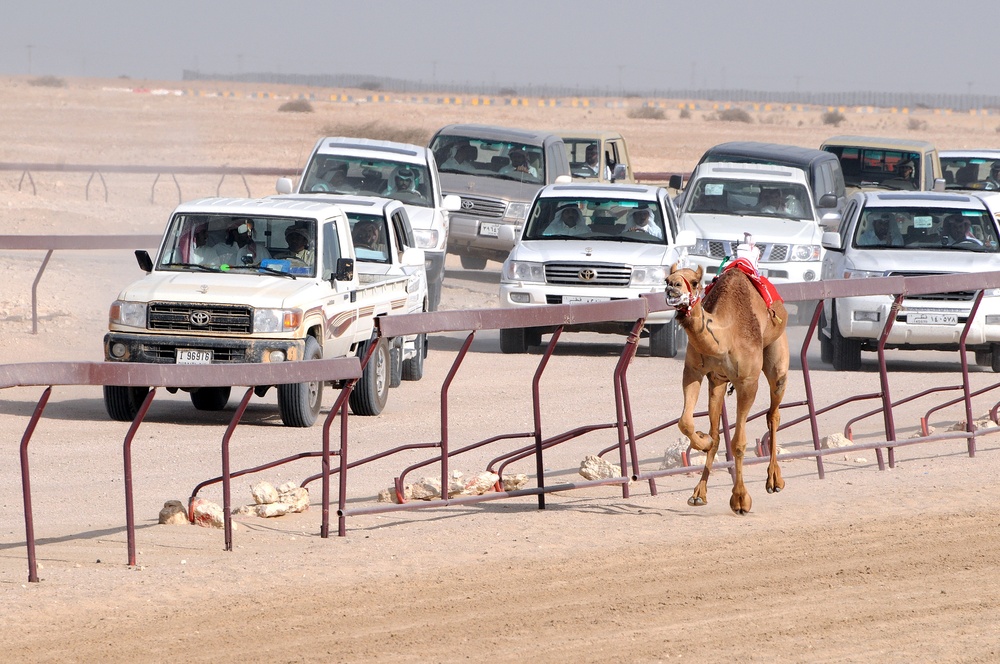 Troops Attend Qatar Camel Races