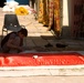 Patrol in Baghdad, Iraq