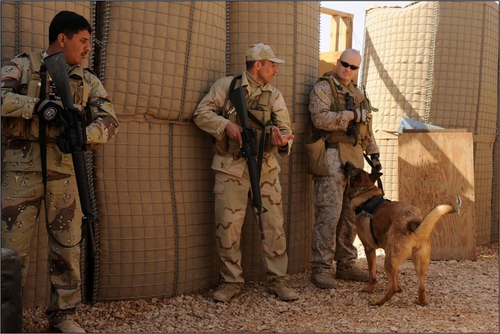 K9 Team Teaches Iraqi Army Use of Dogs in Mission