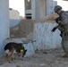 Search of a former weapons manufacturing facility in Iskandariyah, Iraq