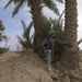 Clearing the Village of Tammuz