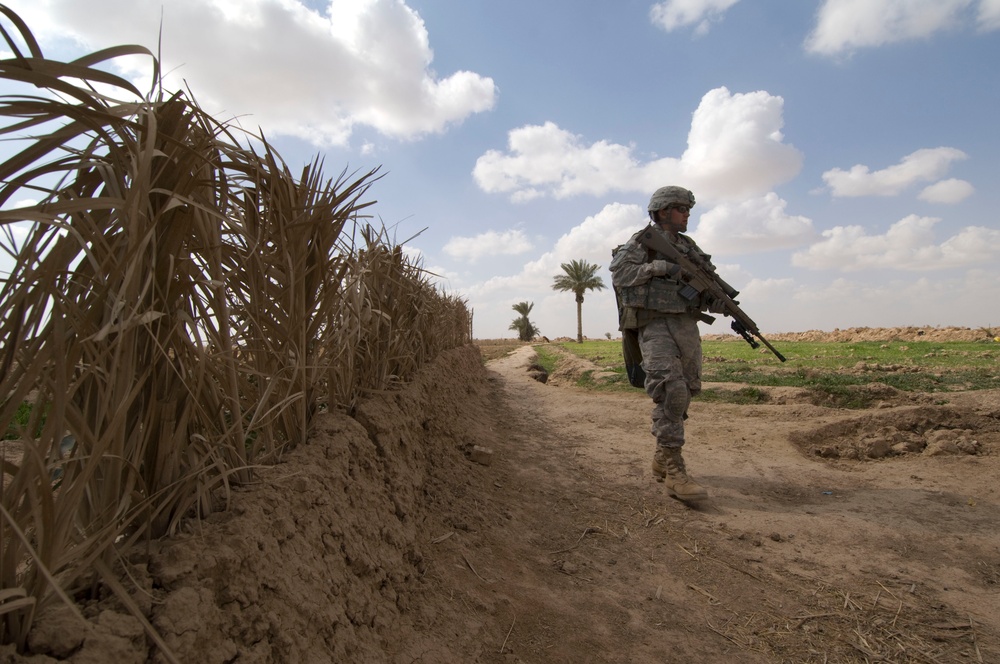 Clearing the Village of Tammuz