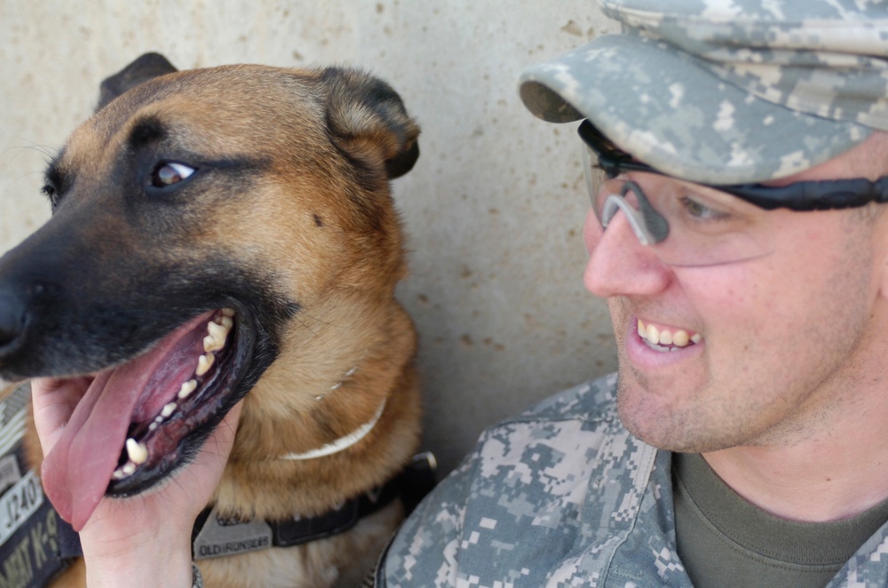 Man's best friend, a Soldier's 'battle buddy'