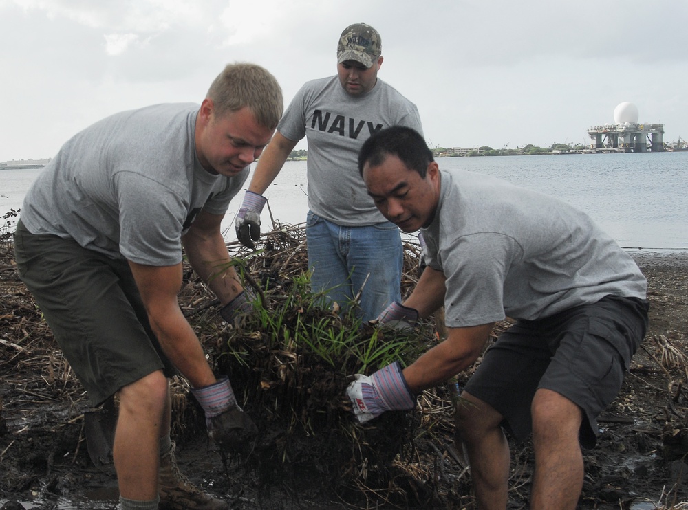 Make-A-Difference Day, Adopt-A-Stream in Hawaii