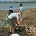 Make-A-Difference Day, Adopt-A-Stream in Hawaii