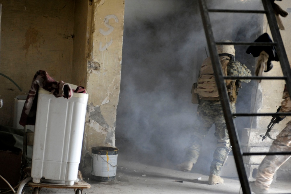 Training demonstration in Basra