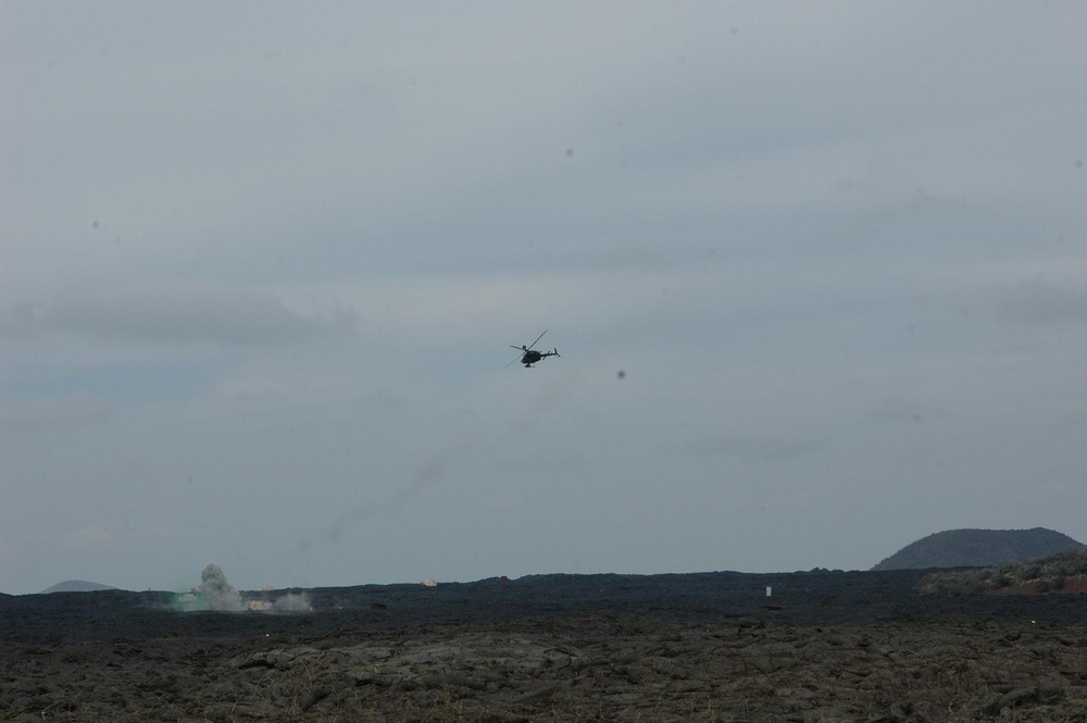 25th Combat Aviation Brigade Teams With United States Army Garrison – Hawaii to Improve Pohakuloa Training Area, Quality of Training