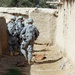 Fatmiya: the village that stands alone