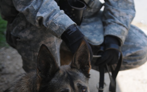 Joint patrol near Taji
