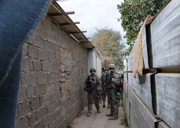 Joint patrol near Taji