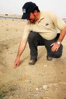 Vigilance Key to 386th SE Bird Aircraft Strike Hazard Program