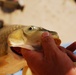 Professional Anglers Host Fishing Tournament