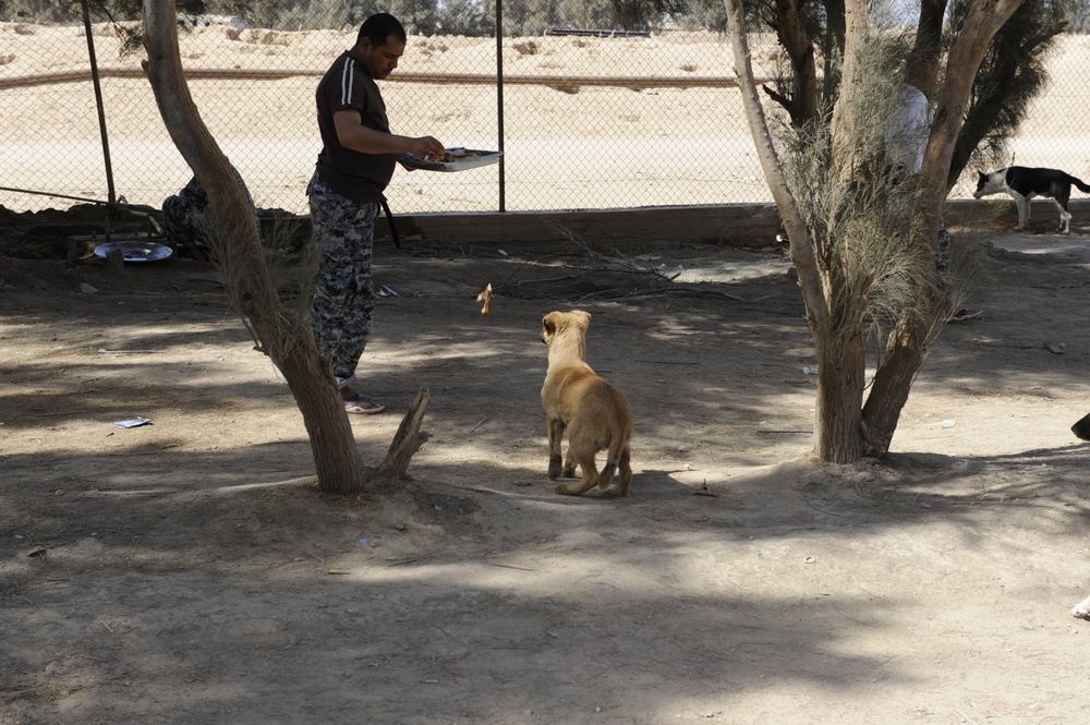 Iraqi national police officers train at headquarters in Rumaylah